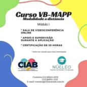 CURSO: APLICAÇÃO DO PROTOCOLO VB MAPP 