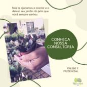 Consultoria de Jardinagem Presencial e Online em Bauru