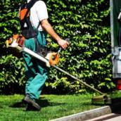 Manutenção de Jardins para: Condomínios