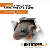 Desratização