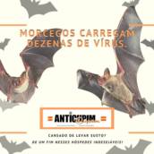 Controle e Repelência de Morcegos 