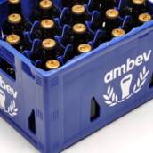 CERVEJA SKOL PROFISSA 300ML CAIXA COM 23 UNIDADES