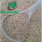 Arroz Arbóreo
