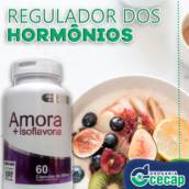 Regulador dos Hormônios - Equilíbrio e Saúde em Lençóis Paulista