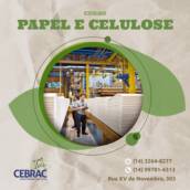 Papel e Celulose