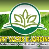Vasos