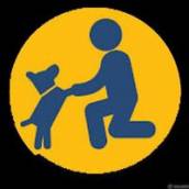 PATAS E MÃOS DADAS