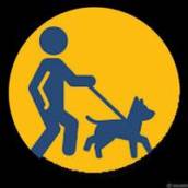 PASSEIO INTELIGENTE