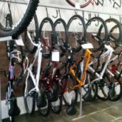 Bicicletas para Adultos