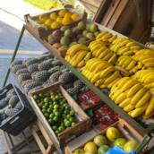 Frutas frescas