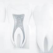 Endodontia