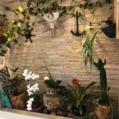 Apartamento - Próximo ao Metrô São Judas - R$1.100.000,00