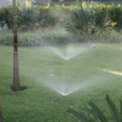 Instalação de Sistema de Irrigação em Bauru