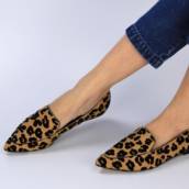 Mocassin
