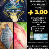tilápia em Avaré