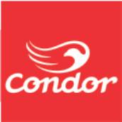  Condor Pincéis