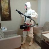 Sanitização