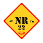 PGR: Programa de Gerenciamento de Riscos – NR-22