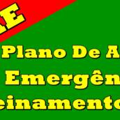 PAE - Plano de ação emergencial