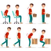 Proergo – Procedimento de Ergonomia/ RULA/OWAS/NIOSH
