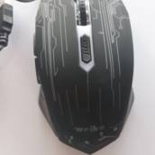 Mouse