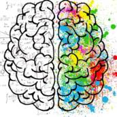 Atividades de Estimulação Cognitiva
