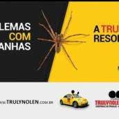 Se despeça das aranhas!