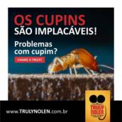 Se despeça dos cupins!
