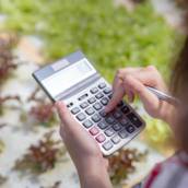 Contagem de plantas, análise de falhas FMEA 