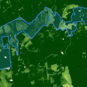 NDVI índice de vegetação por diferença normalizada 
