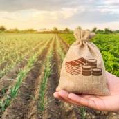 Aplicação localizada de insumos agrícolas e dispersão de pragas