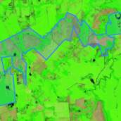 Imageamento por satélite NDVI, NIR, NDRE