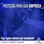 Descupinização
