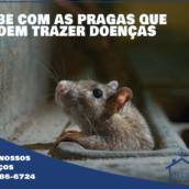Acabe com as Pragas que podem trazer doenças