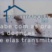 Dedetização Especializada em Pragas
