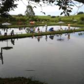 Pesca Livre
