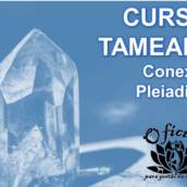 CURSO TAMEANA – Vibracional Pleiadiana