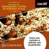 Descupinização
