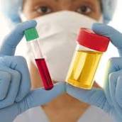Exames laboratoriais