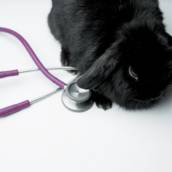 Cardiologista