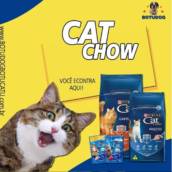 Ração para Gato