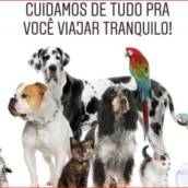 Pet Sitter