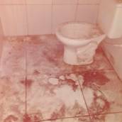 Limpeza Pós-Obra