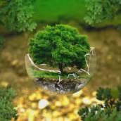 Direito Ambiental 