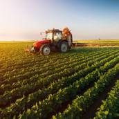 Serralheria para Agropecuária 