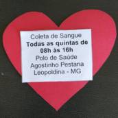 DOE SANGUE - DOE VIDA 