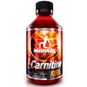 L-Carnitina