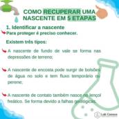 Como Recuperar Uma Nascente - 5 ETAPAS 