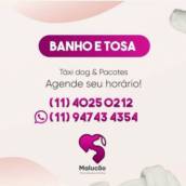 Banho e Tosa