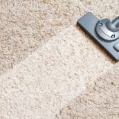 Higienização de Carpetes